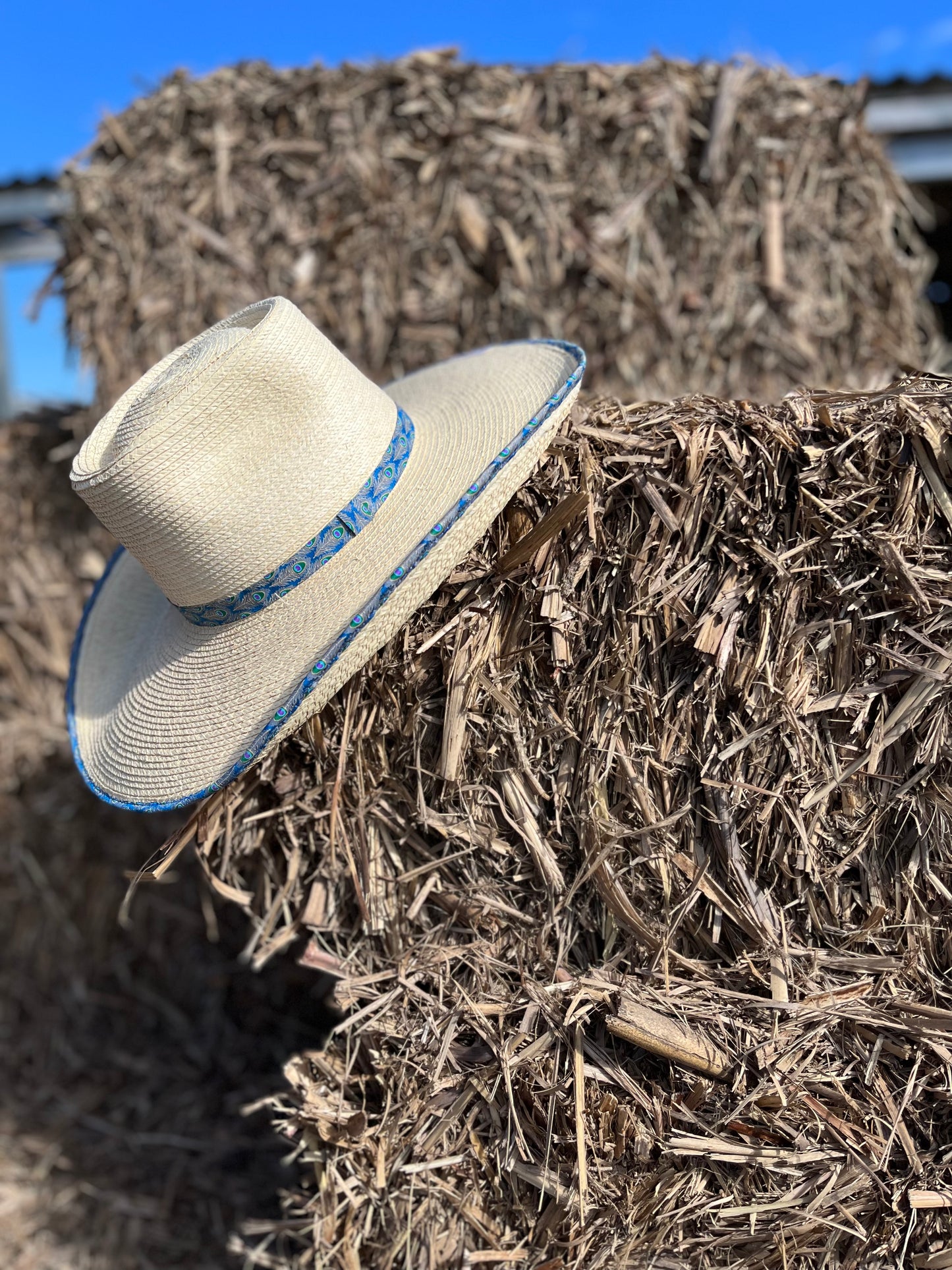 HG45AVPF Sunbody Ava Standard Peacock Feathers