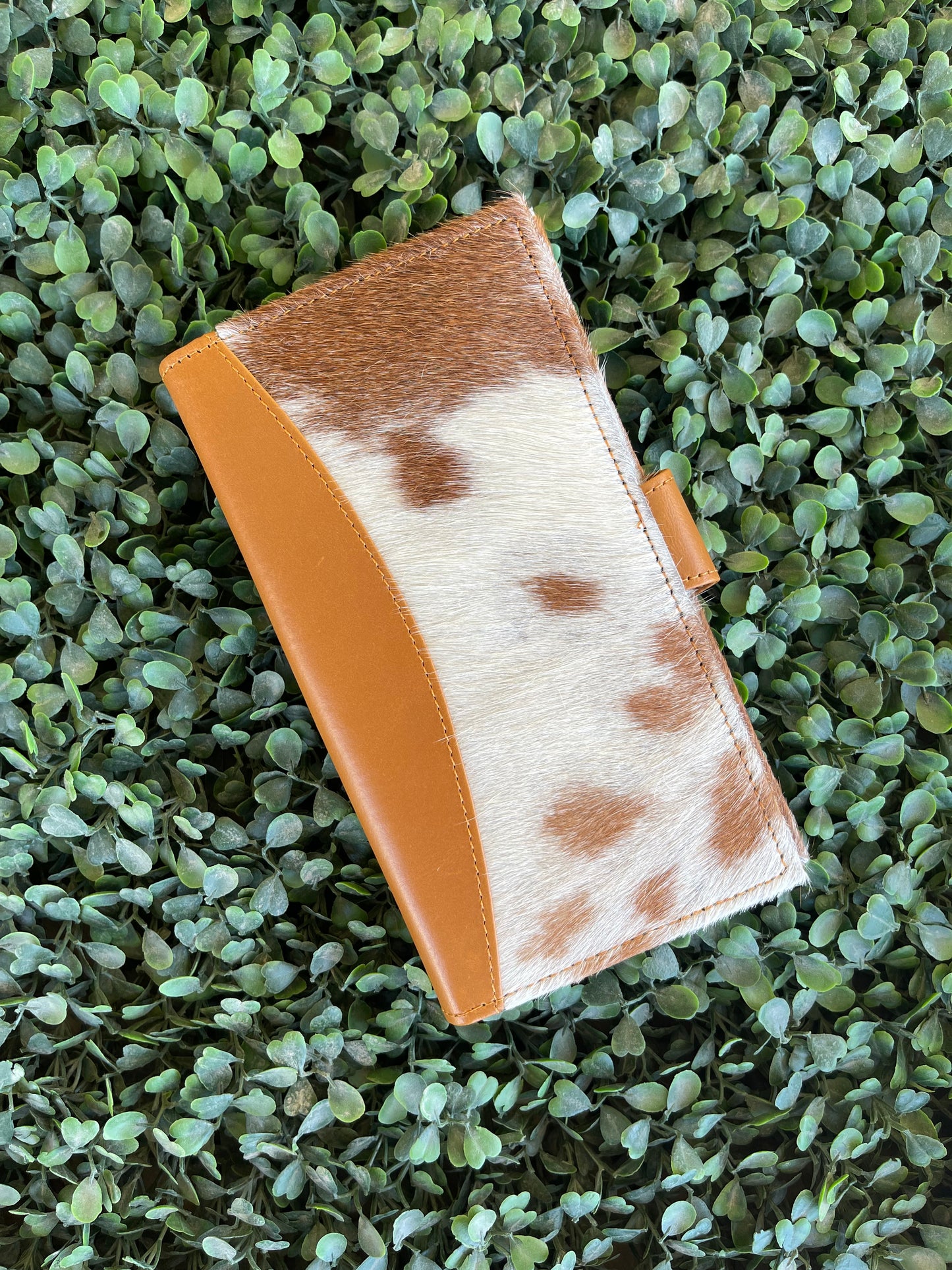 AE16033 SPECIAL Iris hide leather purse Brown