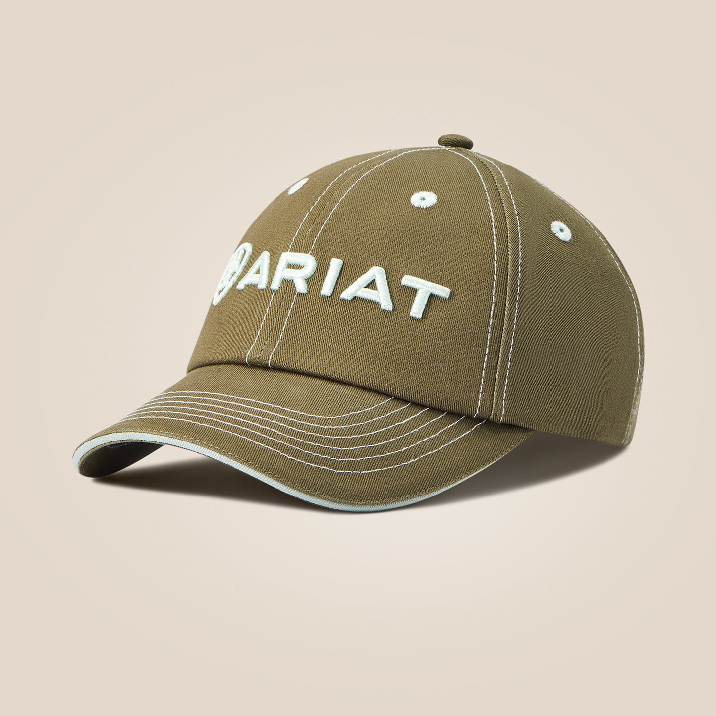 10043927 Ariat Unisex Team 2 Cap Beetle/Aqua Foam