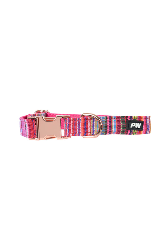 P5W2955CLR Pure Western Bowie Dog Collar Pink