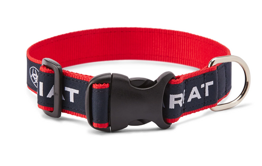 10036573 Ariat Dog collar team
