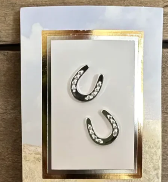 CYW-304 Horseshoe Aqua Stone Stud Earrings