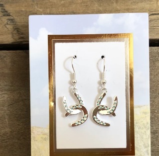 CYW-301 Horseshoe Aqua Stone Earrings
