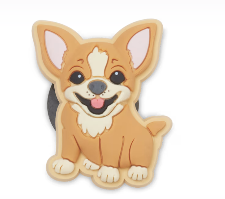 10014901 CROCS JIBBETZ Chihuahua Puppy