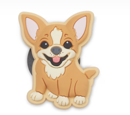 10014901 CROCS JIBBETZ Chihuahua Puppy