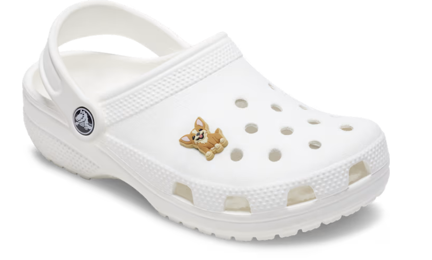 10014901 CROCS JIBBETZ Chihuahua Puppy