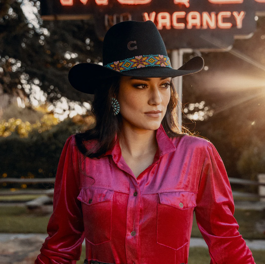 C1WGDGR213407 Charlie 1 Horse Gold Digger Black