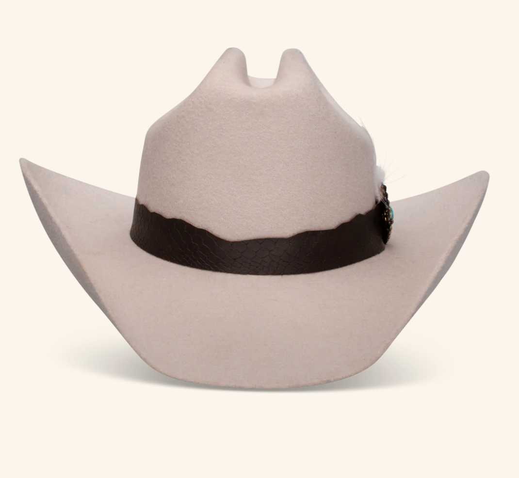 C1WSDUP954061 Charlie 1 Horse Saddle Up Silverbelly