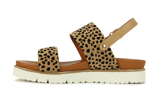 242145 Los Cabos Women's Cartia Cheetah Sandal