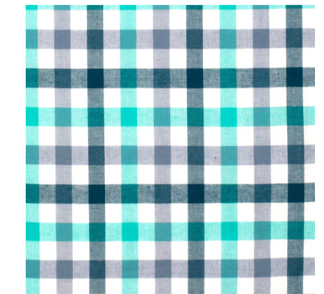 WWLS2530 Just Country Women's Abby Workshirt Turquoise/Deep Teal Check