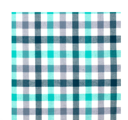 BWLS2530 Just Country Boy's Brayden Workshirt Turquoise/Deep Teal Check