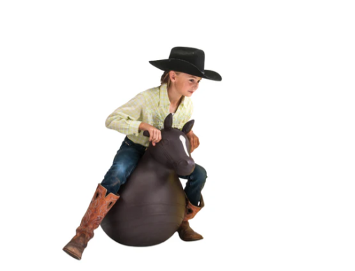 445 Big Country Toys Bouncy Horse