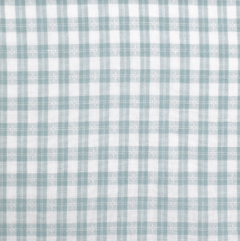 GWLS2615 Just Country Girl's Gracie Full Button Frill's Workshirt Bay Green & White Check