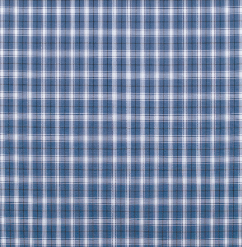 MWLS2614 Just Country Men's Austin Full Button Print Workshirt Dutch Blue & White Plaid