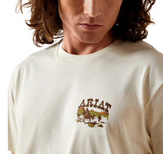 10065901 Ariat Men's Pulp Western Tee Turtledove