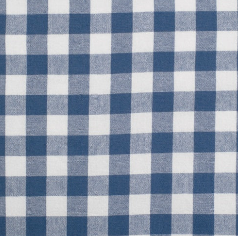 WWLS2630 Just Country Women's Abbey Full Button Check Workshirt Blue & White Check