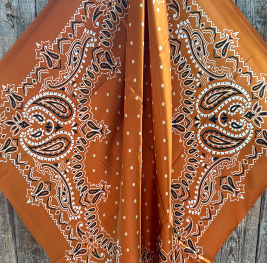 WR3432 Cowgirl Rust Paisley Rag Scarf