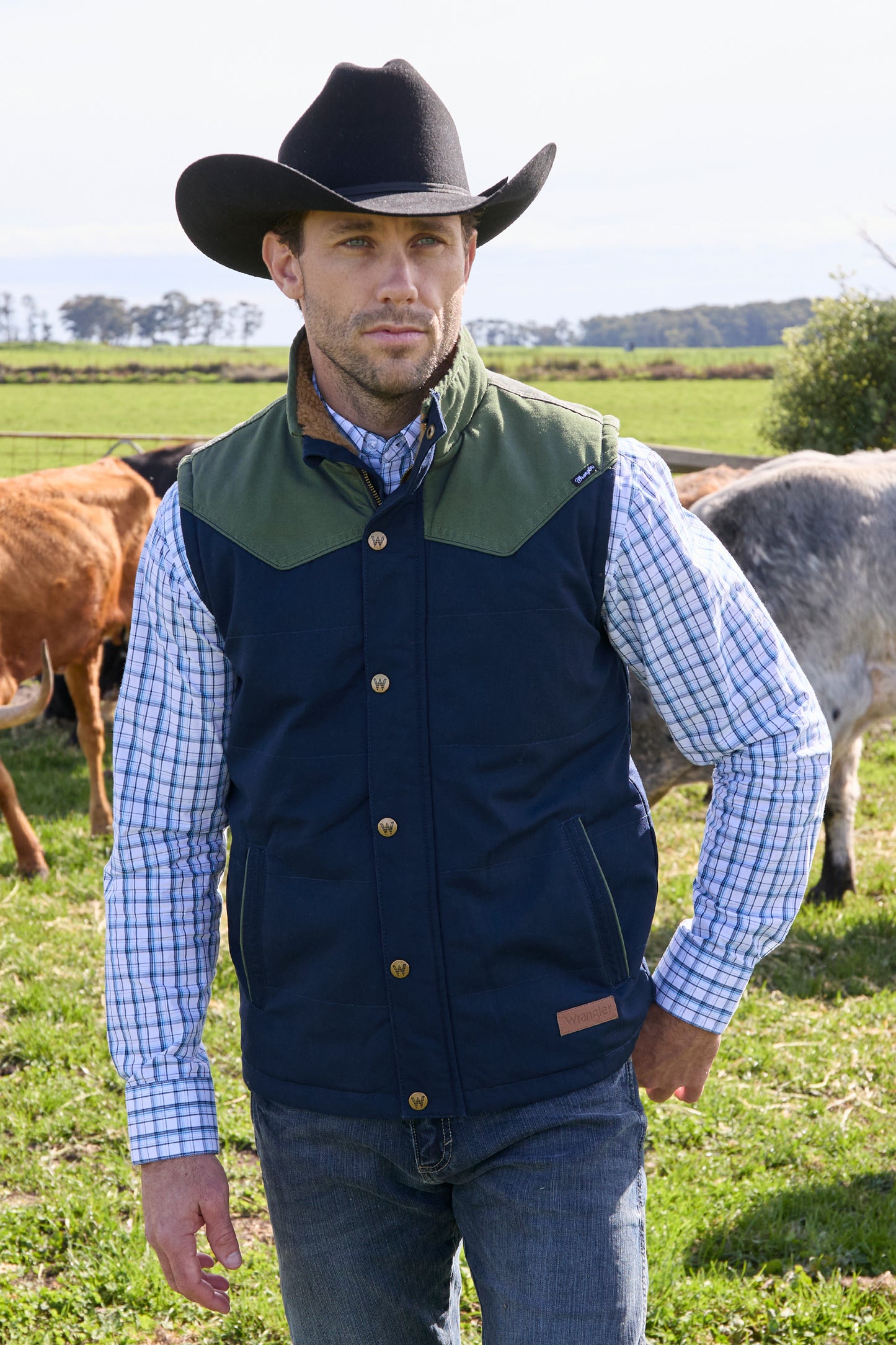X5W1671259 Wrangler Men's Andrew Vest