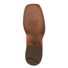 10025046 Ariat Womens western magnolia