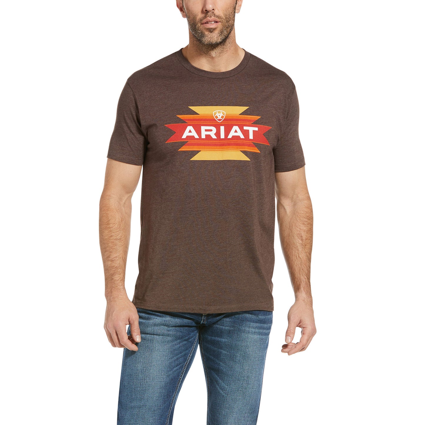 10034361 Ariat men's Native Angles Tee