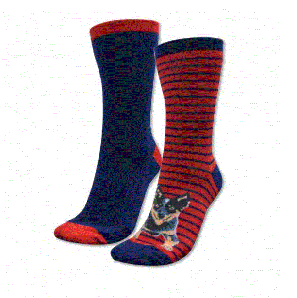 TCP2920SOC Thomas Cook Homestead Sock - Twin Packs
