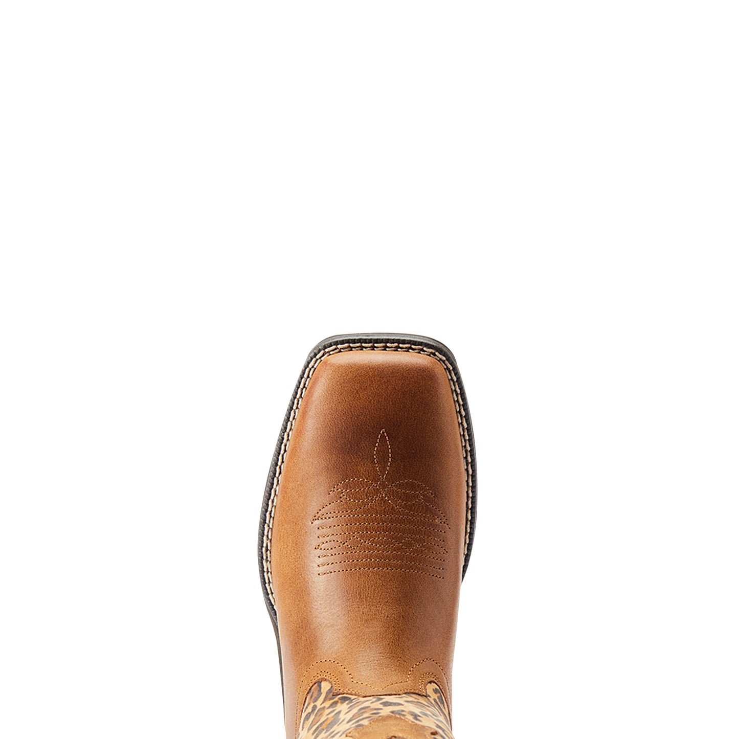 10044410 Ariat Women's Anthem Savanna Tortuga/ Leopard Print