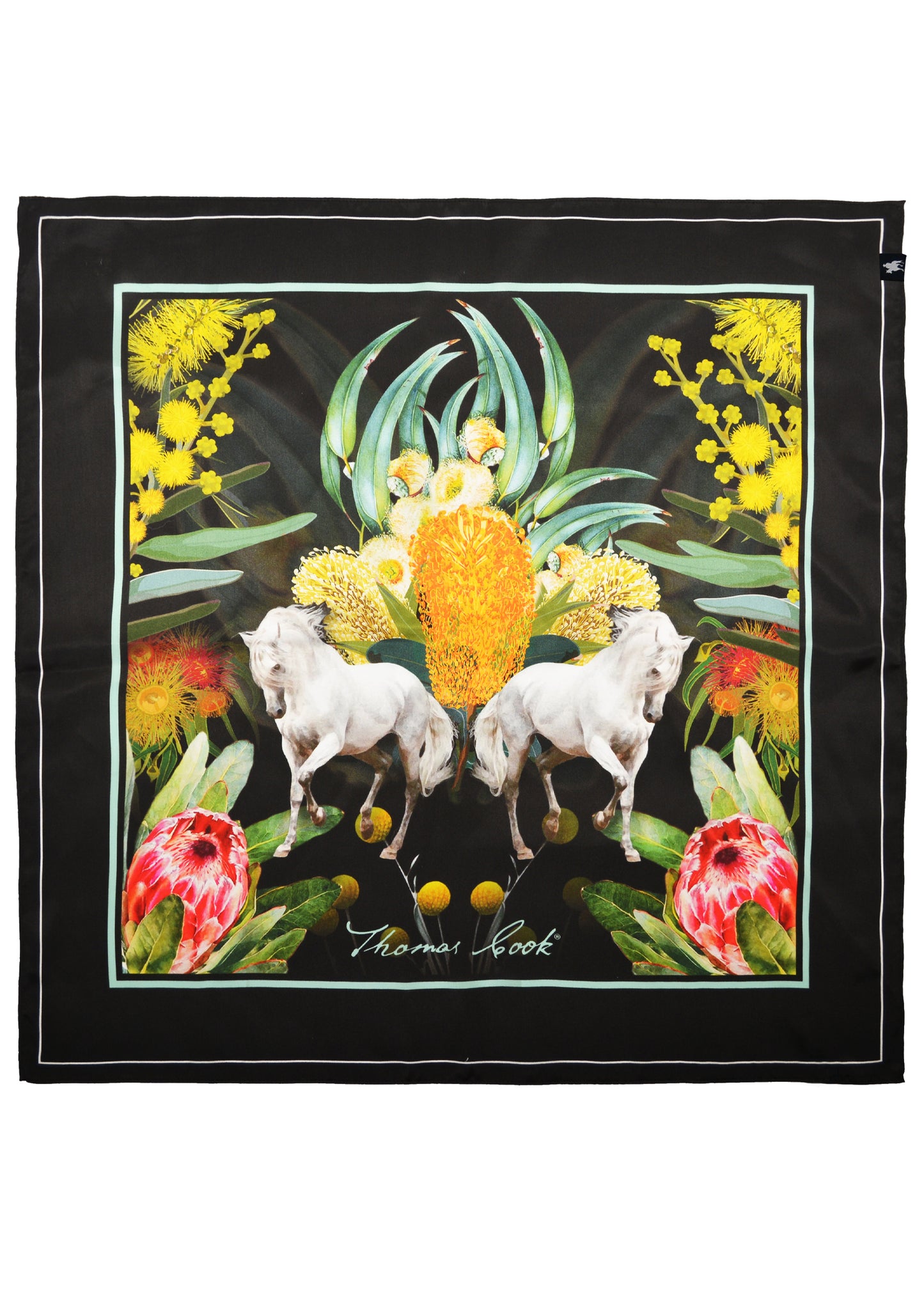 T2W2945SCF Thomas Cook Silk Print Scarf