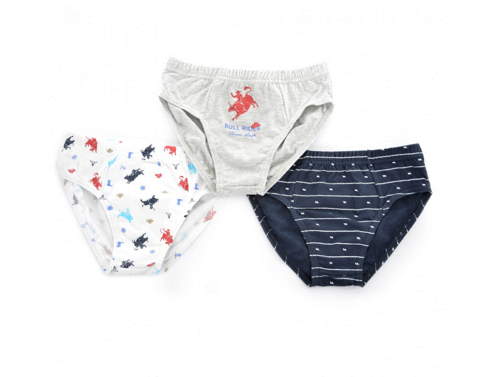 T0S3904095 Thomas Cook Boys Undies Multi