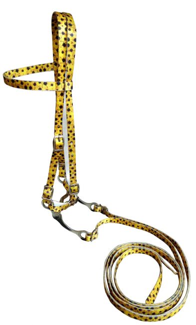 32653 Showman Nylon Southwest Print Bridle Set