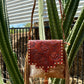 35318 Iger Tassel Hide Crossbody