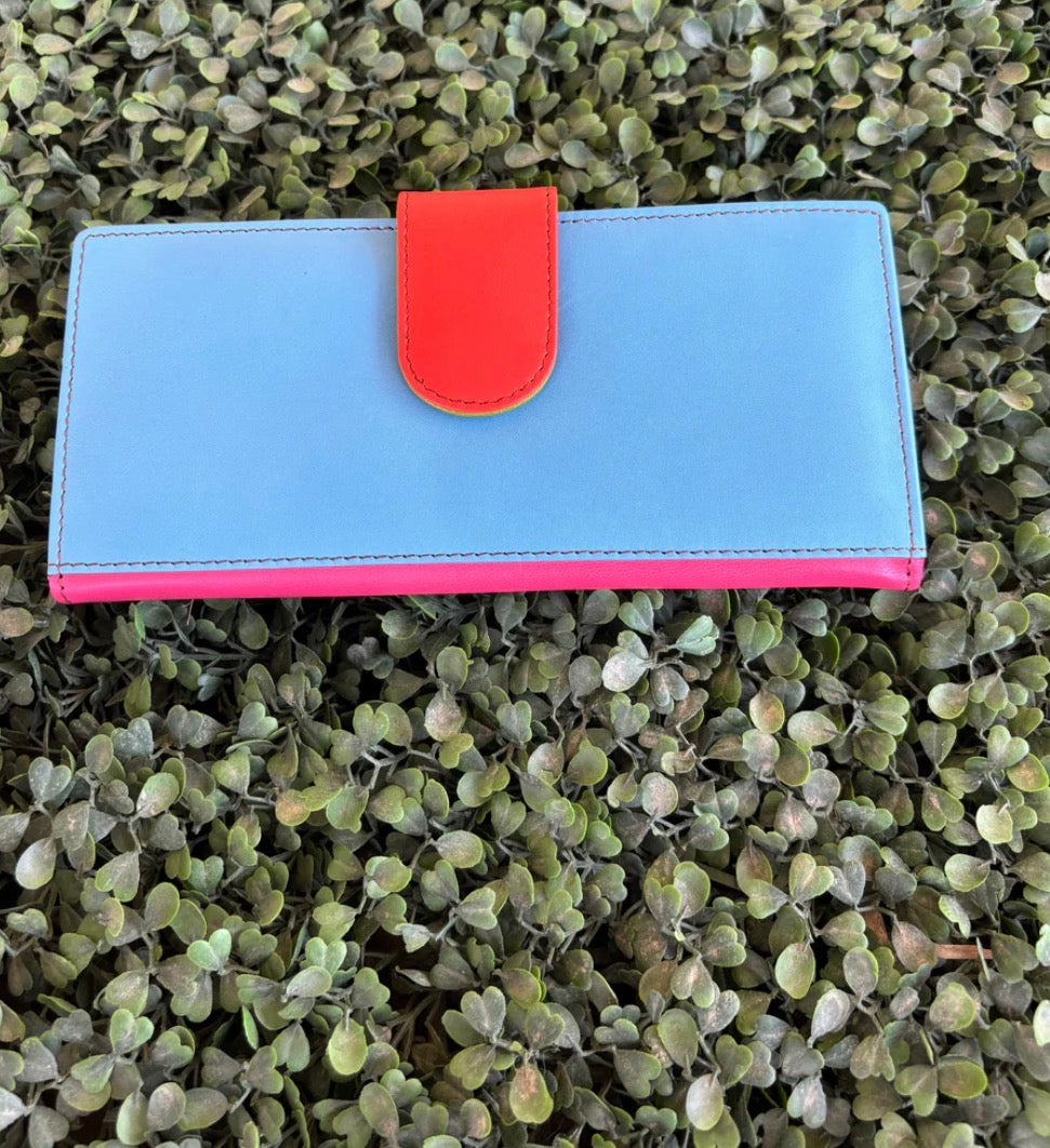 AE4113 Colour Drop Leather Purse