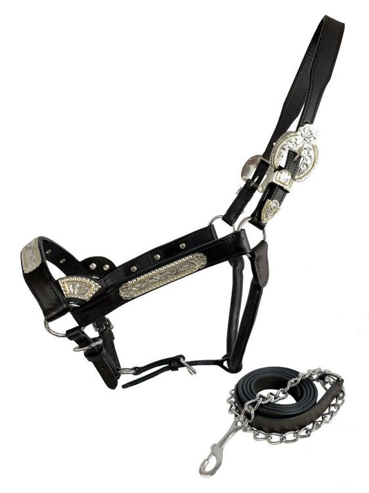 AS600 Showman Leather Show Halter