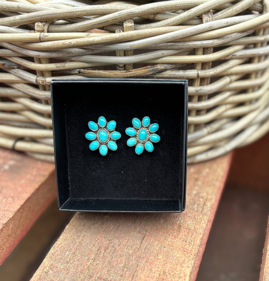 CCE11 Cascade Collection Stud Earring #11