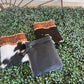 AE2502 Alaina Leather Hide Small Crossbody Black & White