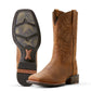 10053566 Ariat Men's Oakwood Earth/Distressed Brown EE Wide