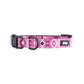 P4W2923CLR Pure Western Billie Dog Collar Pink