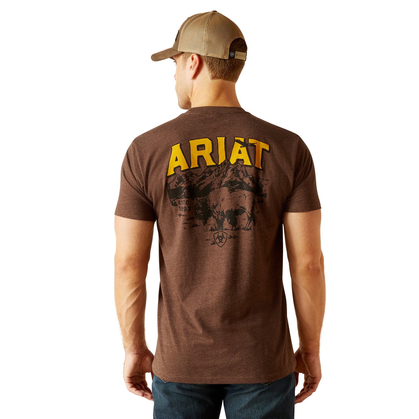 10051750 Ariat Men's Bison Sketch Shield Tee Heather Brown