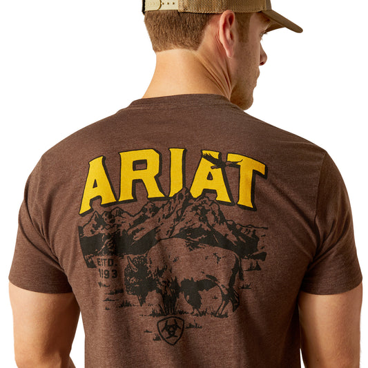 10051750 Ariat Men's Bison Sketch Shield Tee Heather Brown