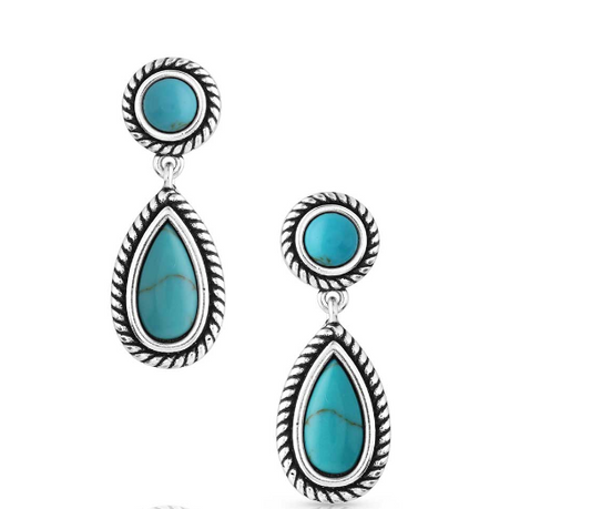 ER5702 Montana Silversmith Tranquil Waters Turquoise Earrings