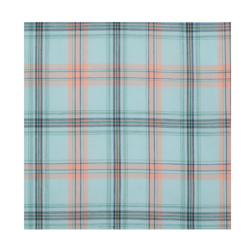 WWLS2437 Just Country Women's Abbey Frill Mint Green Plaid