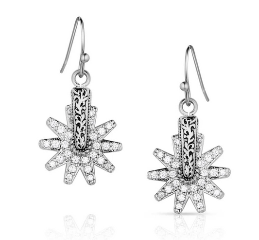 ER5823 Montana Silversmiths Spur of the moment Earrings