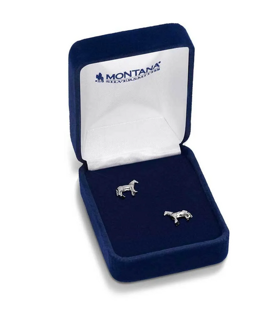 QER5972 Montana Silversmiths Quarter horse earrings