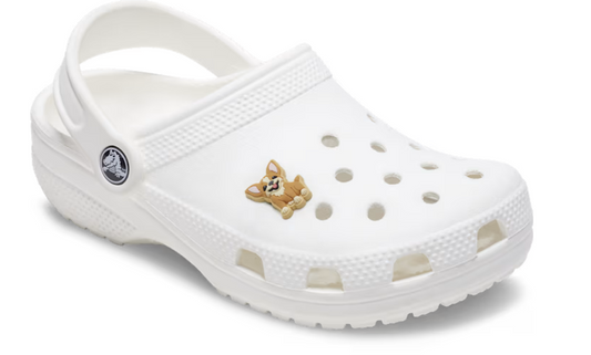 10014901   CROCS JIBBETZ  Chihuahua Puppy