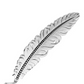HF4059BK Montana Silversmiths Classic Montana Hat Feather