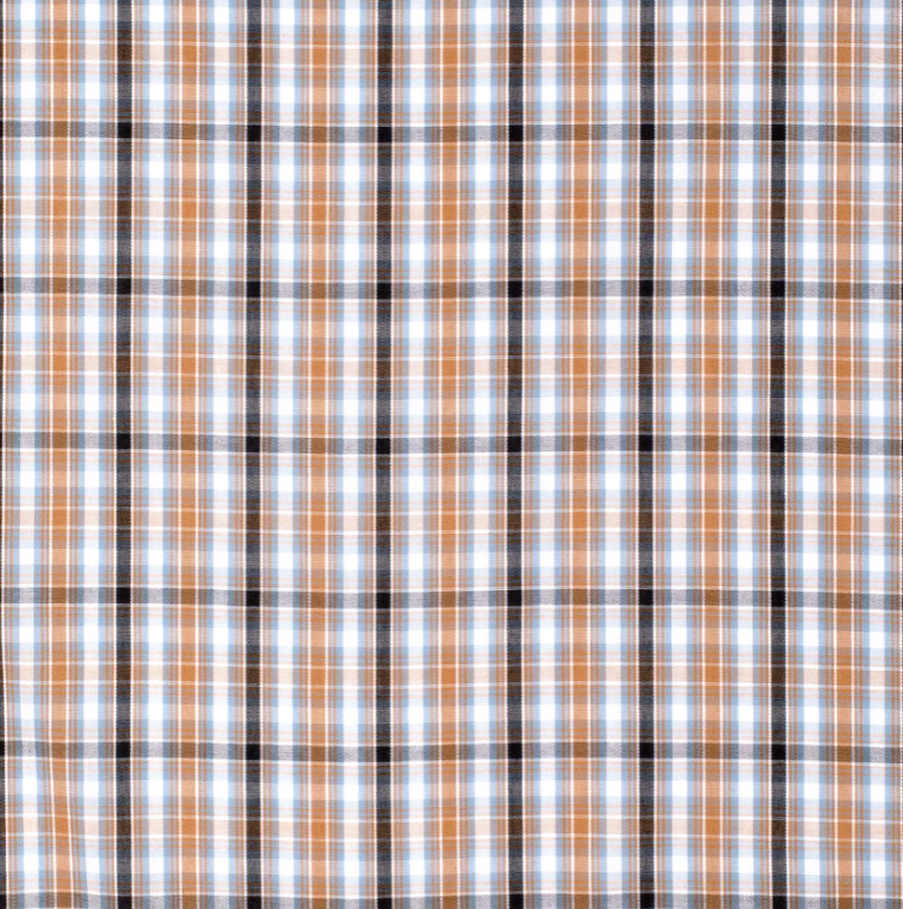 MWLS2527 Just Country Men's Austin Full Button Print Work shirt Brown/ Black Check