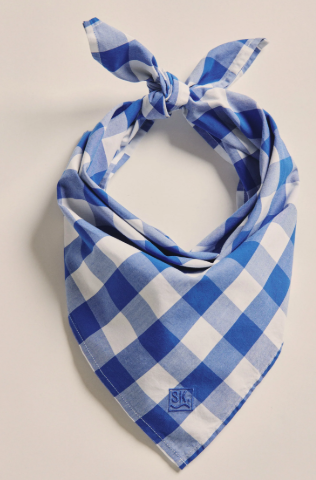 1AC00012 S.kidman Parachilna Bandana Mid Blue Check