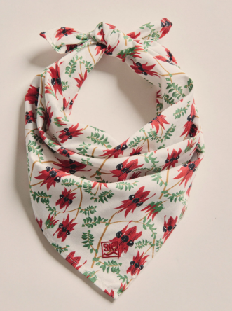 1AC00127 S.kidman Parachilna Bandana Red