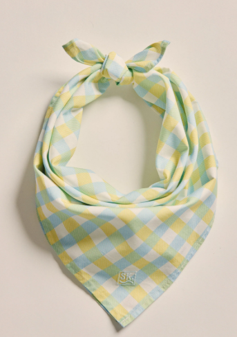 1AC00129 S.kidman Parachilna Bandana Sky Blue