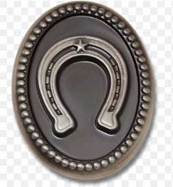 10016885 Croc Jibbitz Silver Horseshoe