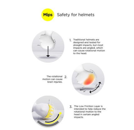 E30002-NV/GO Equinavia Crown Mips Navy & Gold Helmet